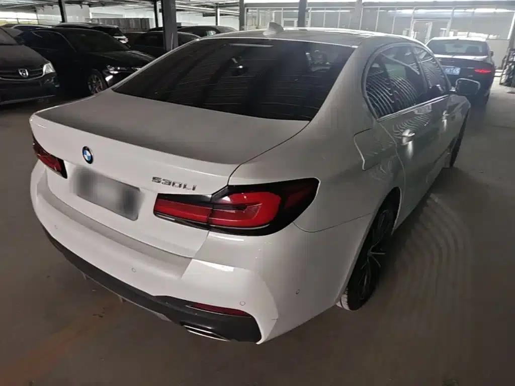 2021 BMW 5 Series 530Li Leading Edition M Sport Package — миниатюра 7