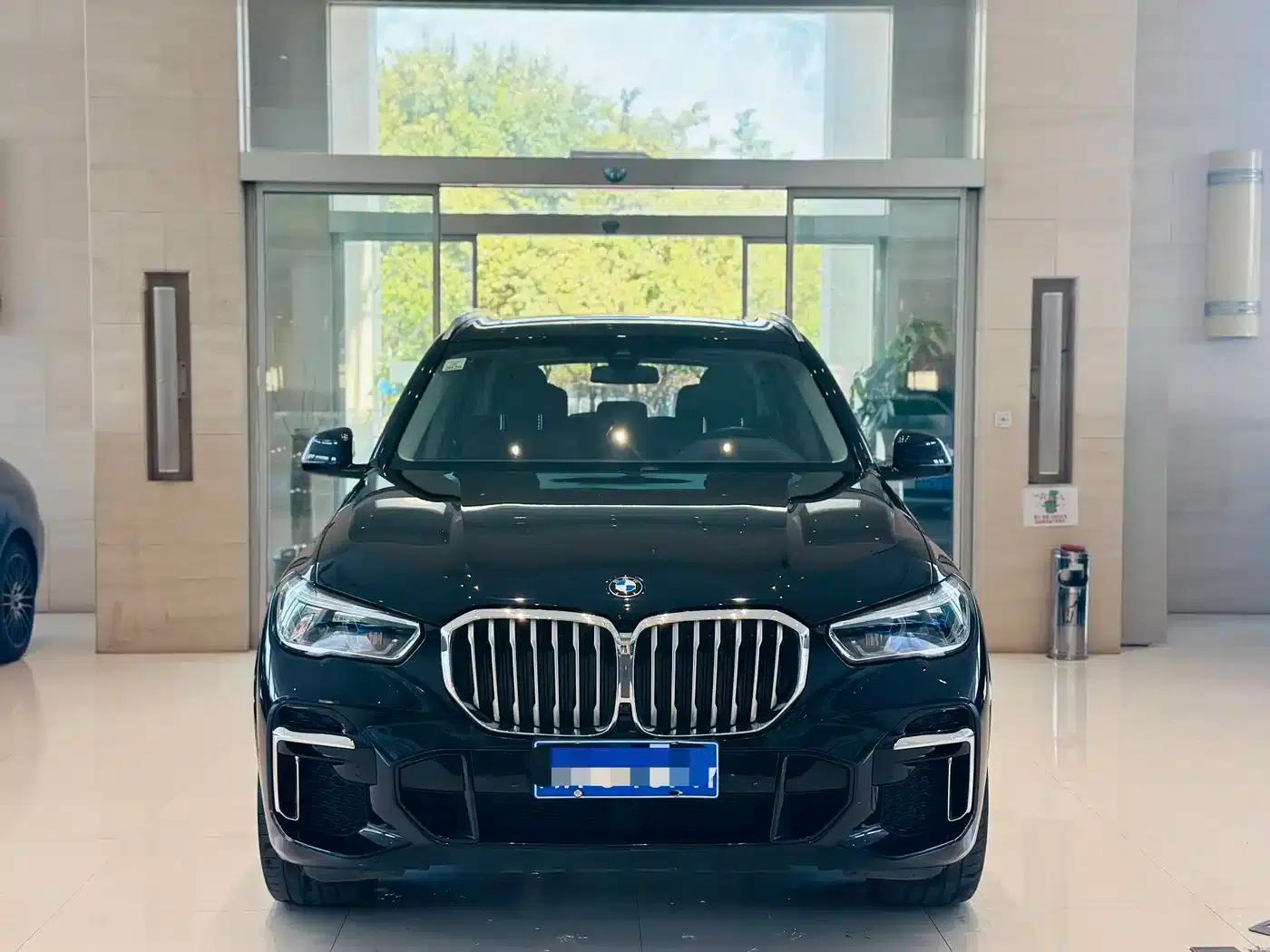 BMW X5 2022 xDrive 30Li Luxury M Sport Package — миниатюра 2