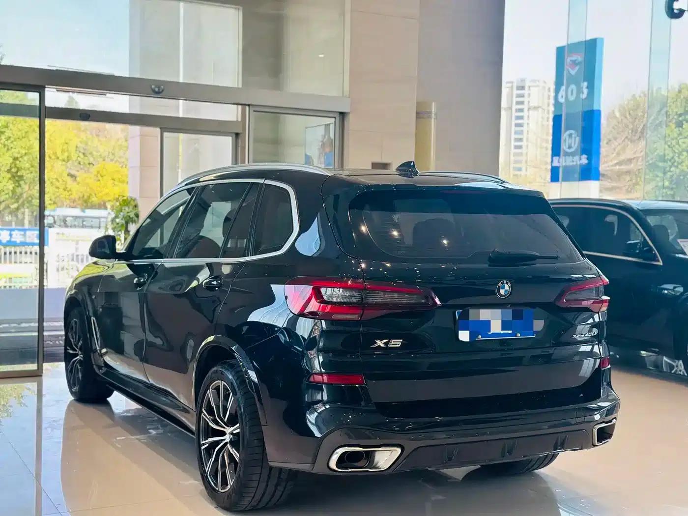 BMW X5 2022 xDrive 30Li Luxury M Sport Package — миниатюра 8