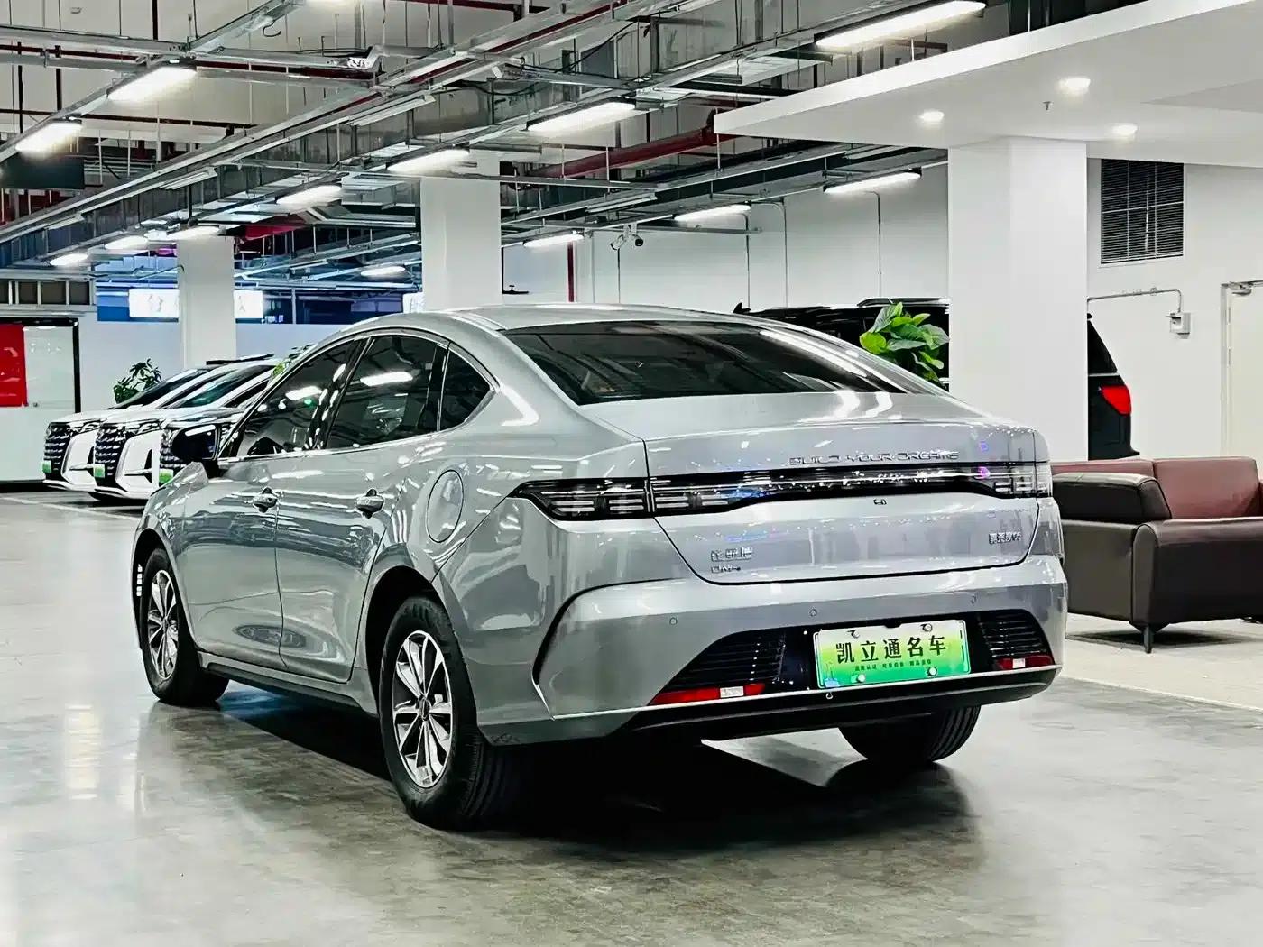 Destroyer 05 2024 Glory Edition DM-i 55KM Luxury Model — миниатюра 3