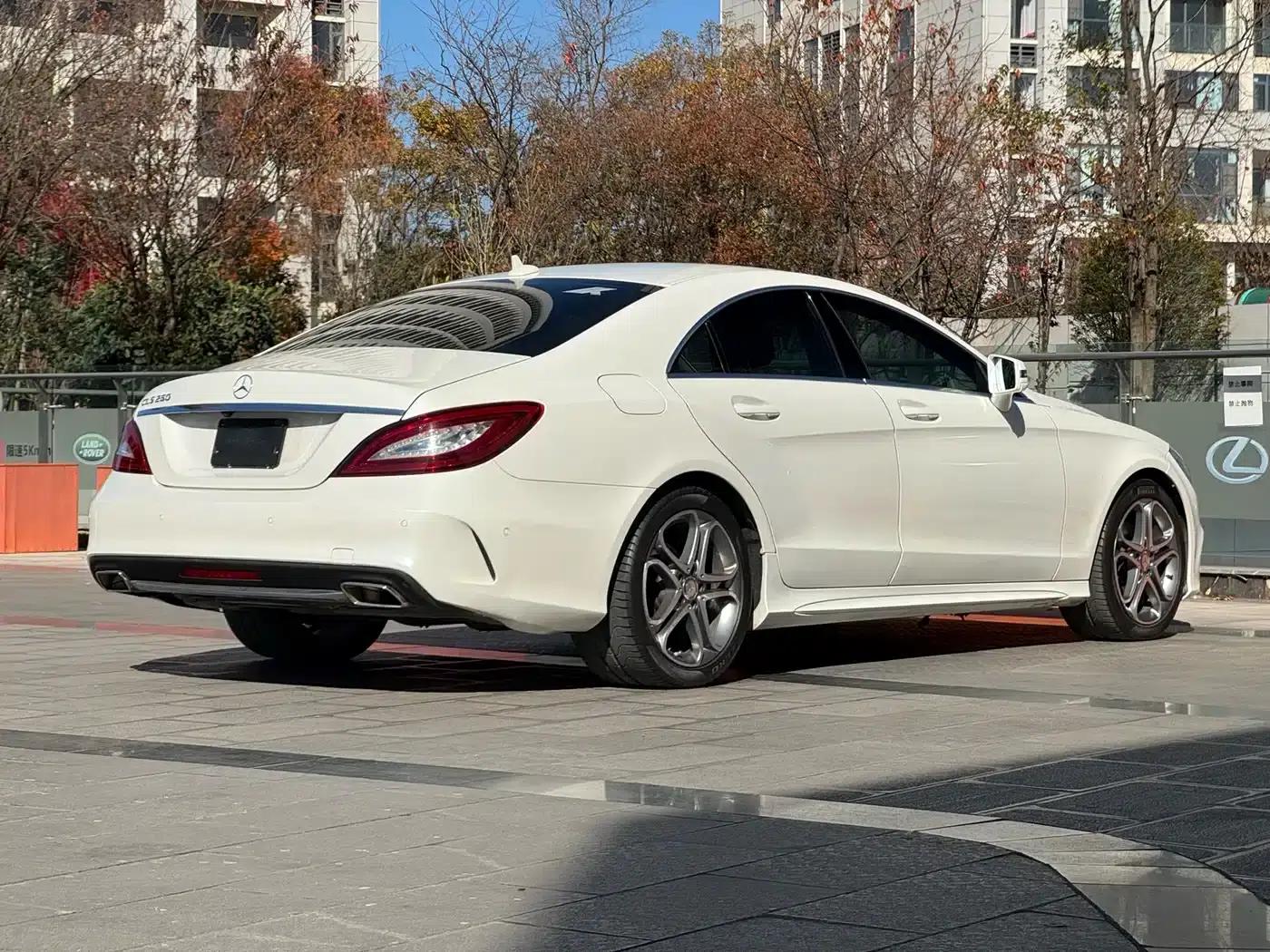2015 Mercedes-Benz CLS 260 — миниатюра 8