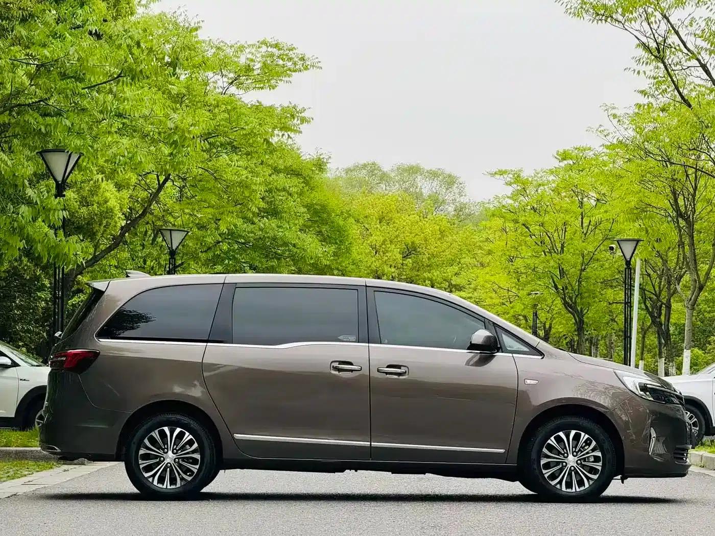 Buick GL8 2022 Land Business Class 652T Luxury — миниатюра 6