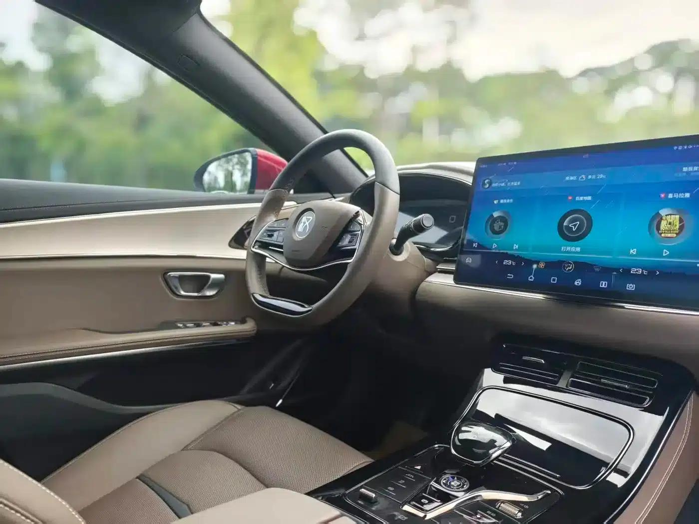 2020 Han DM 4WD Performance Luxury Edition — миниатюра 15