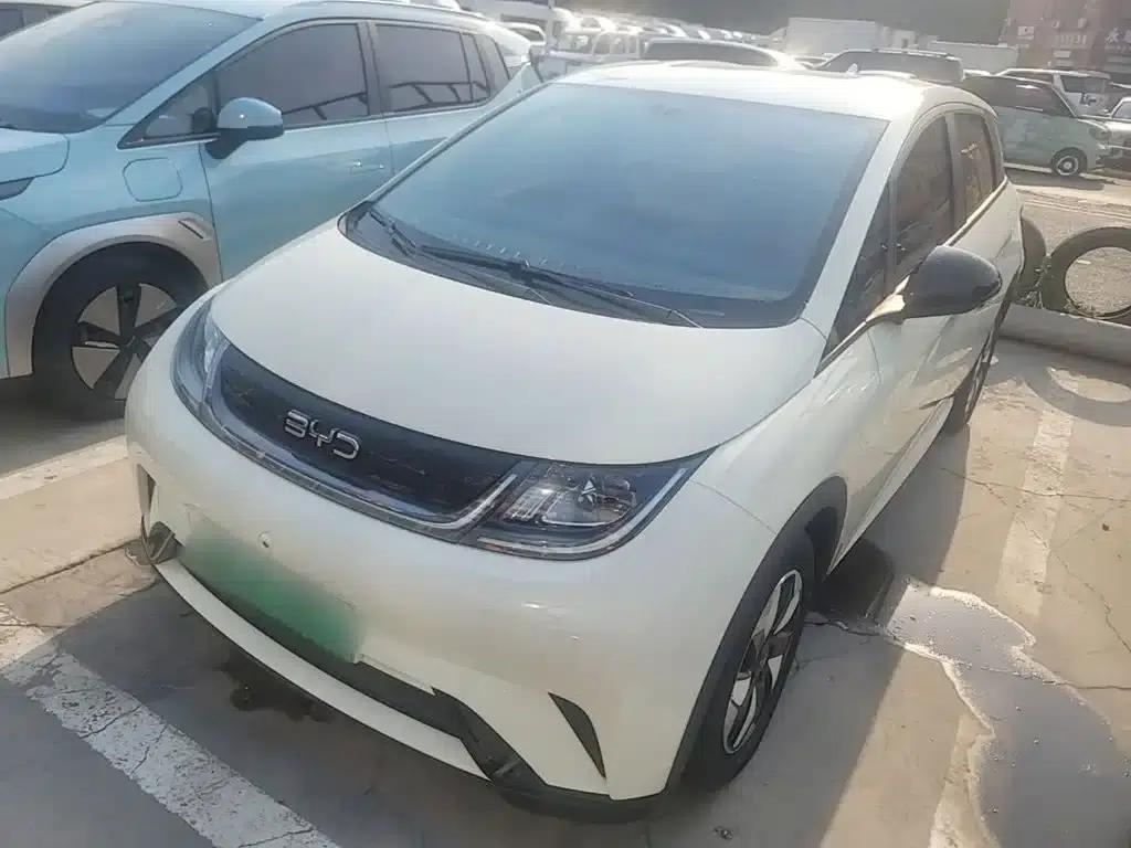 Dolphin 2024 Glory Edition 420km Freedom Edition — миниатюра 2