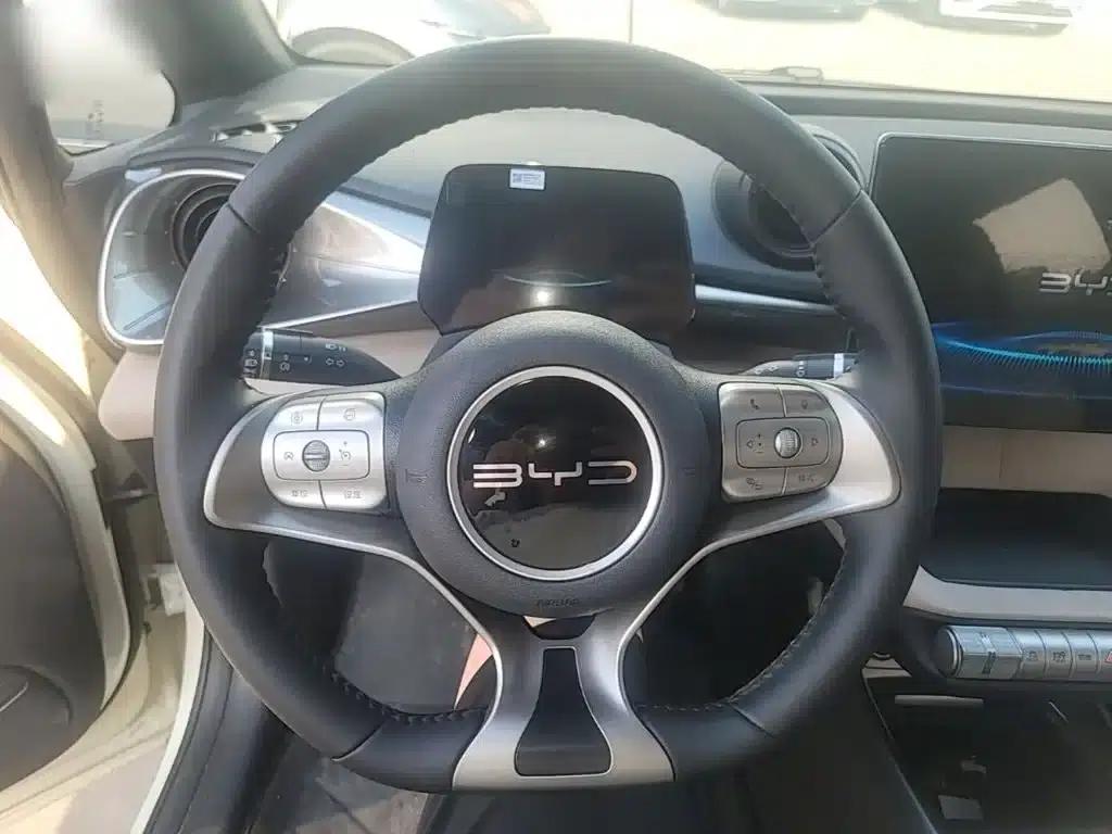 Dolphin 2024 Glory Edition 420km Freedom Edition — миниатюра 11
