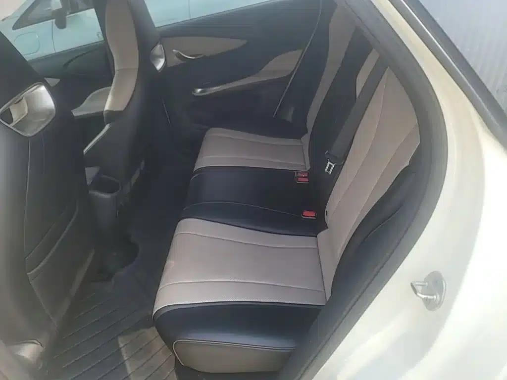 Dolphin 2024 Glory Edition 420km Freedom Edition — миниатюра 17