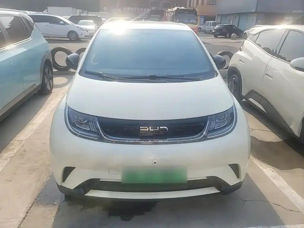 Dolphin 2024 Glory Edition 420km Freedom Edition — миниатюра 3
