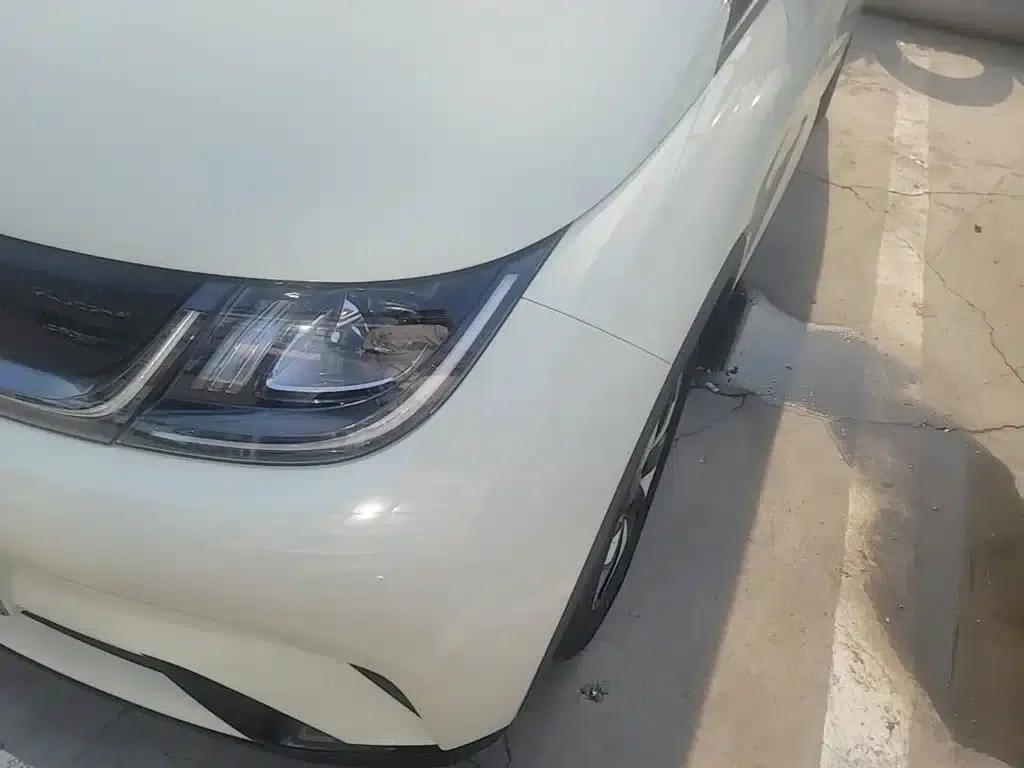 Dolphin 2024 Glory Edition 420km Freedom Edition — миниатюра 24