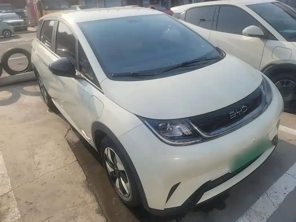 Dolphin 2024 Glory Edition 420km Freedom Edition — миниатюра 4