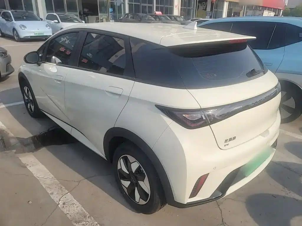 Dolphin 2024 Glory Edition 420km Freedom Edition — миниатюра 5