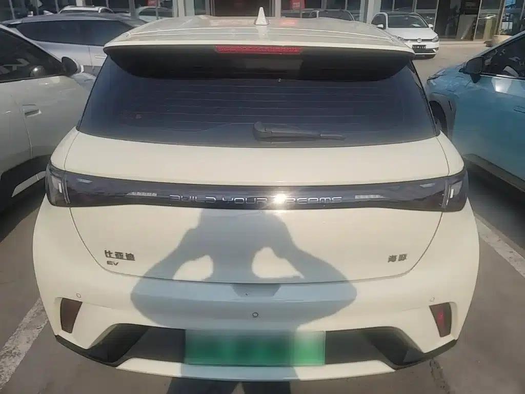 Dolphin 2024 Glory Edition 420km Freedom Edition — миниатюра 6