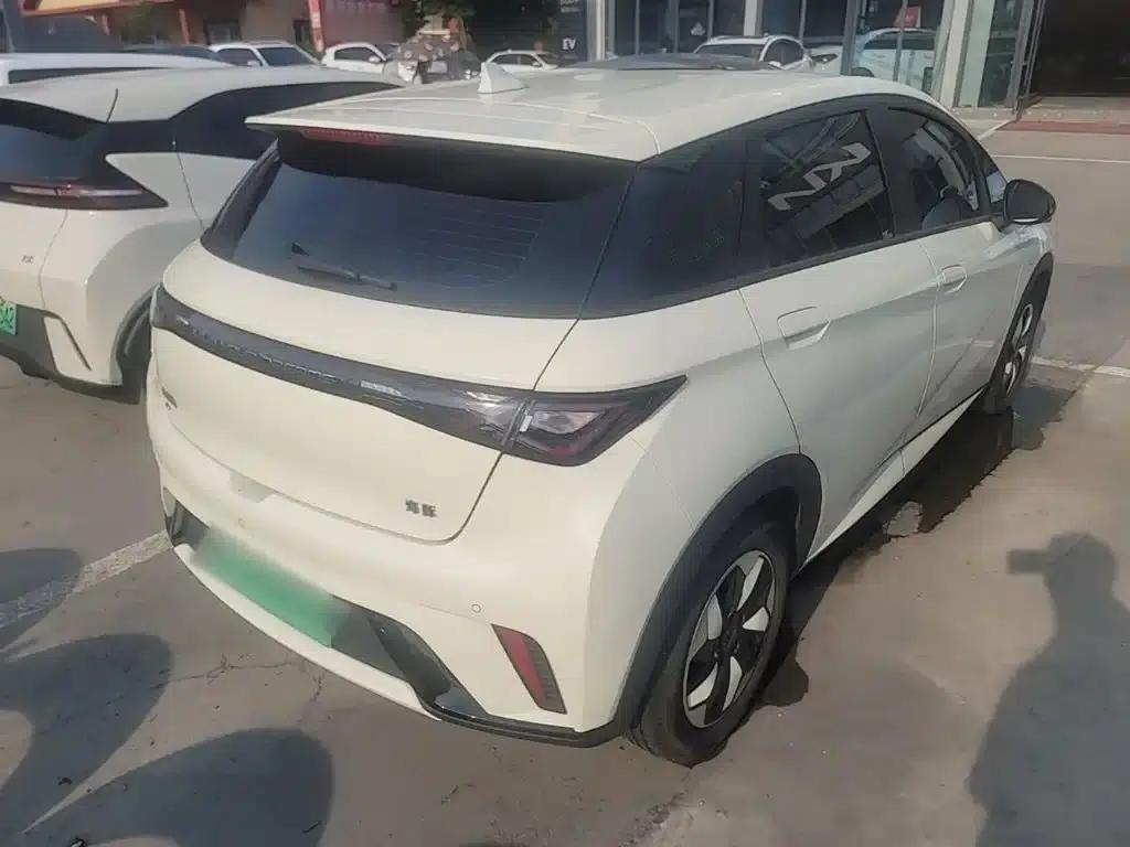 Dolphin 2024 Glory Edition 420km Freedom Edition — миниатюра 7