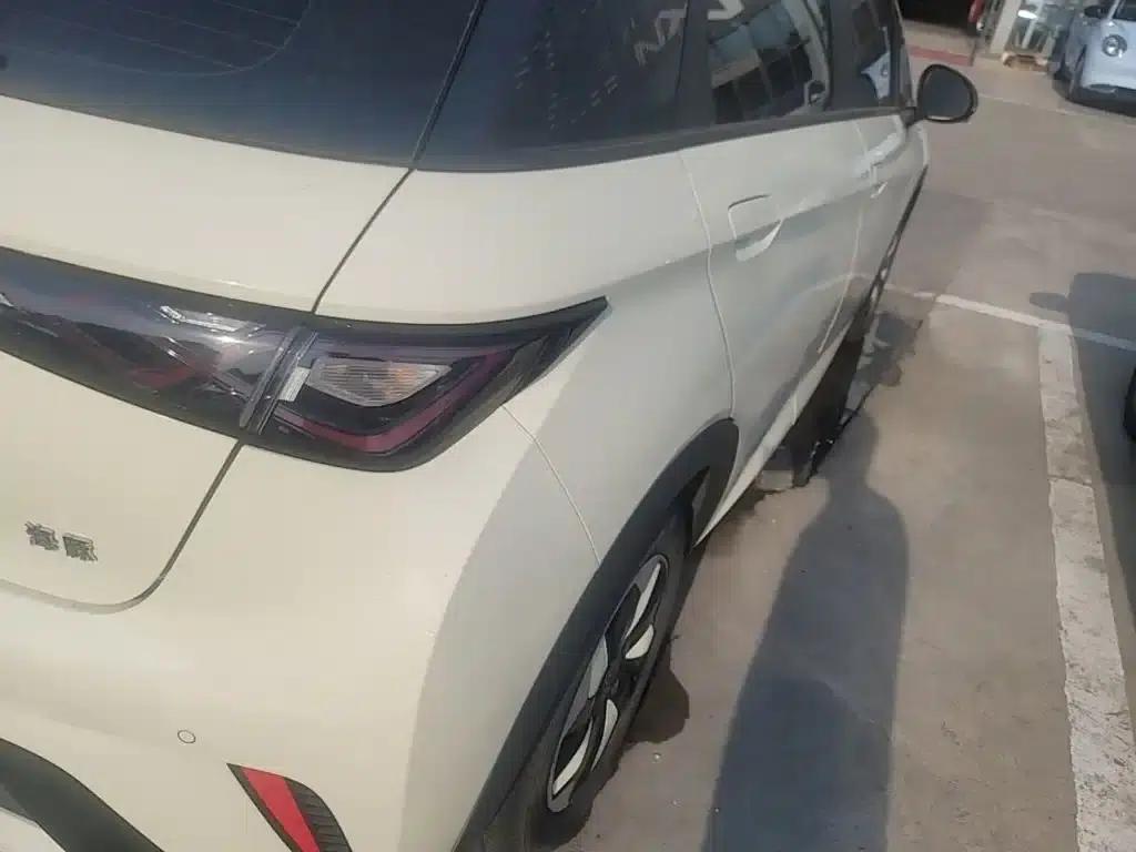 Dolphin 2024 Glory Edition 420km Freedom Edition — миниатюра 8