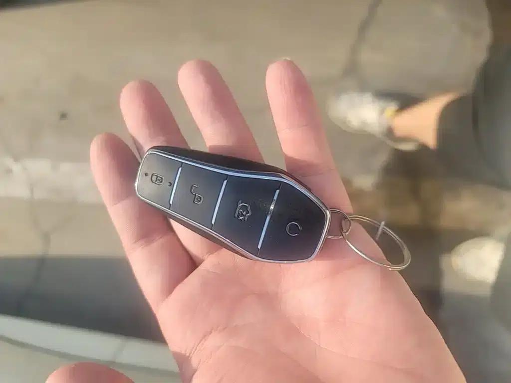 Dolphin 2024 Glory Edition 420km Freedom Edition — миниатюра 9