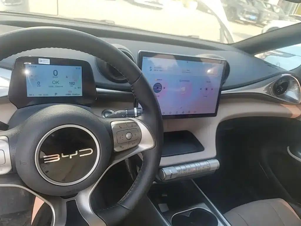 Dolphin 2024 Glory Edition 420km Freedom Edition — миниатюра 10