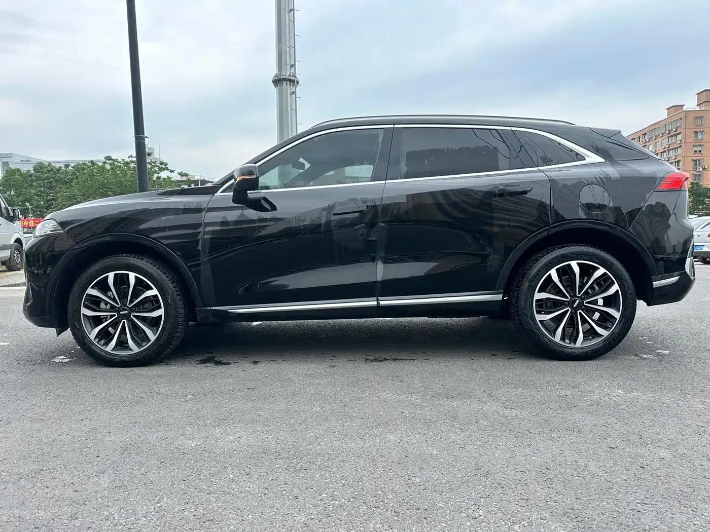Wei brand Mocha 2021 2.0T 2WD Extra Rich Edition — миниатюра 4