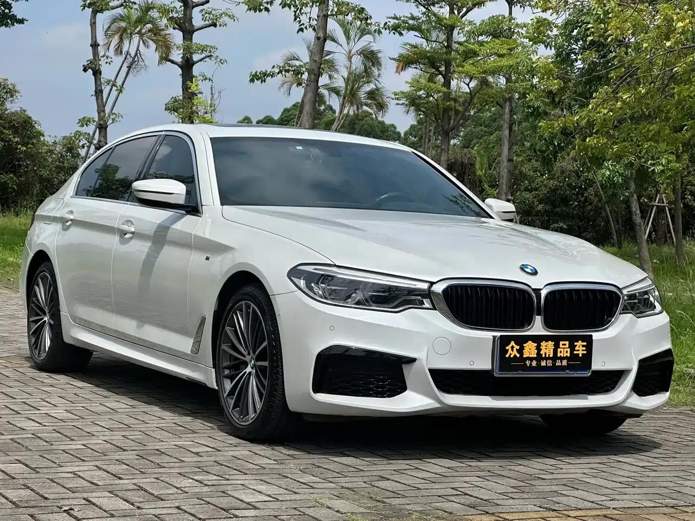 2020 BMW 5 Series 530Li Leading Edition M Sport Package — миниатюра 3