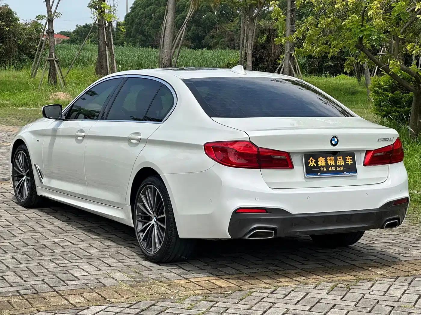 2020 BMW 5 Series 530Li Leading Edition M Sport Package — миниатюра 4