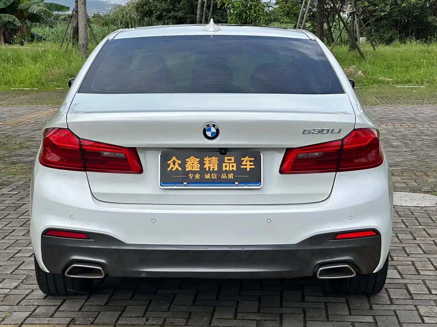 2020 BMW 5 Series 530Li Leading Edition M Sport Package — миниатюра 5