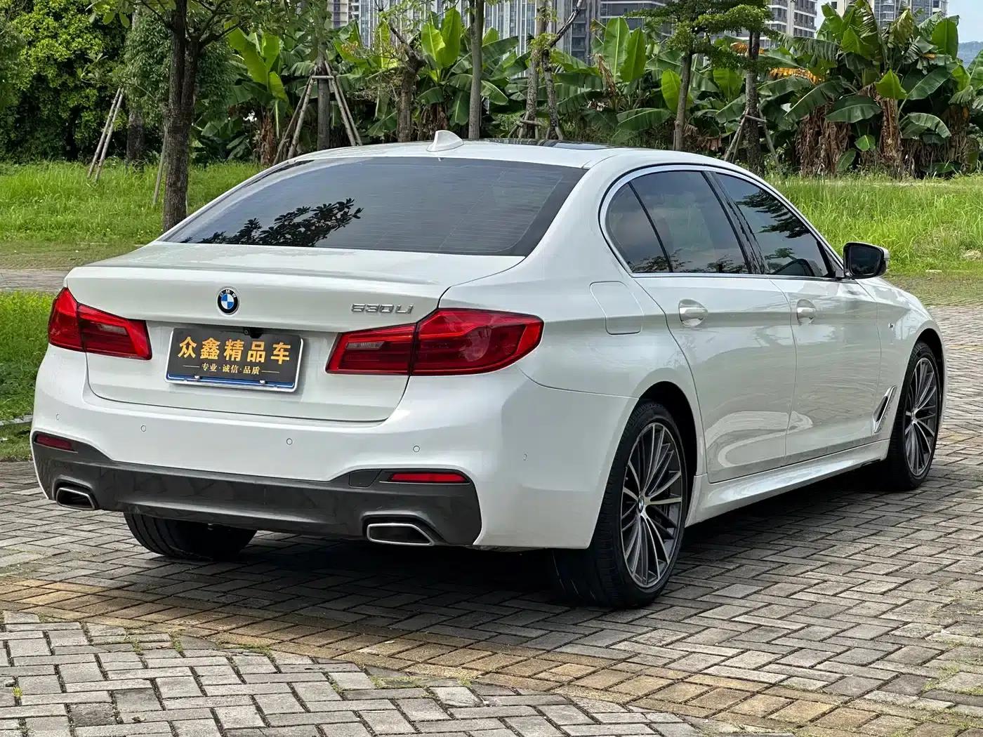 2020 BMW 5 Series 530Li Leading Edition M Sport Package — миниатюра 6