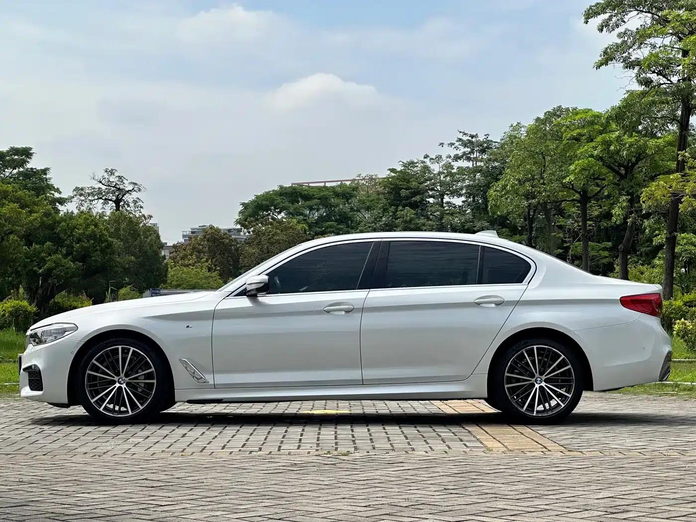 2020 BMW 5 Series 530Li Leading Edition M Sport Package — миниатюра 7