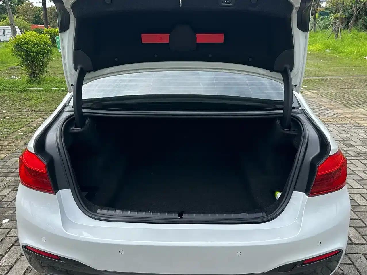 2020 BMW 5 Series 530Li Leading Edition M Sport Package — миниатюра 9