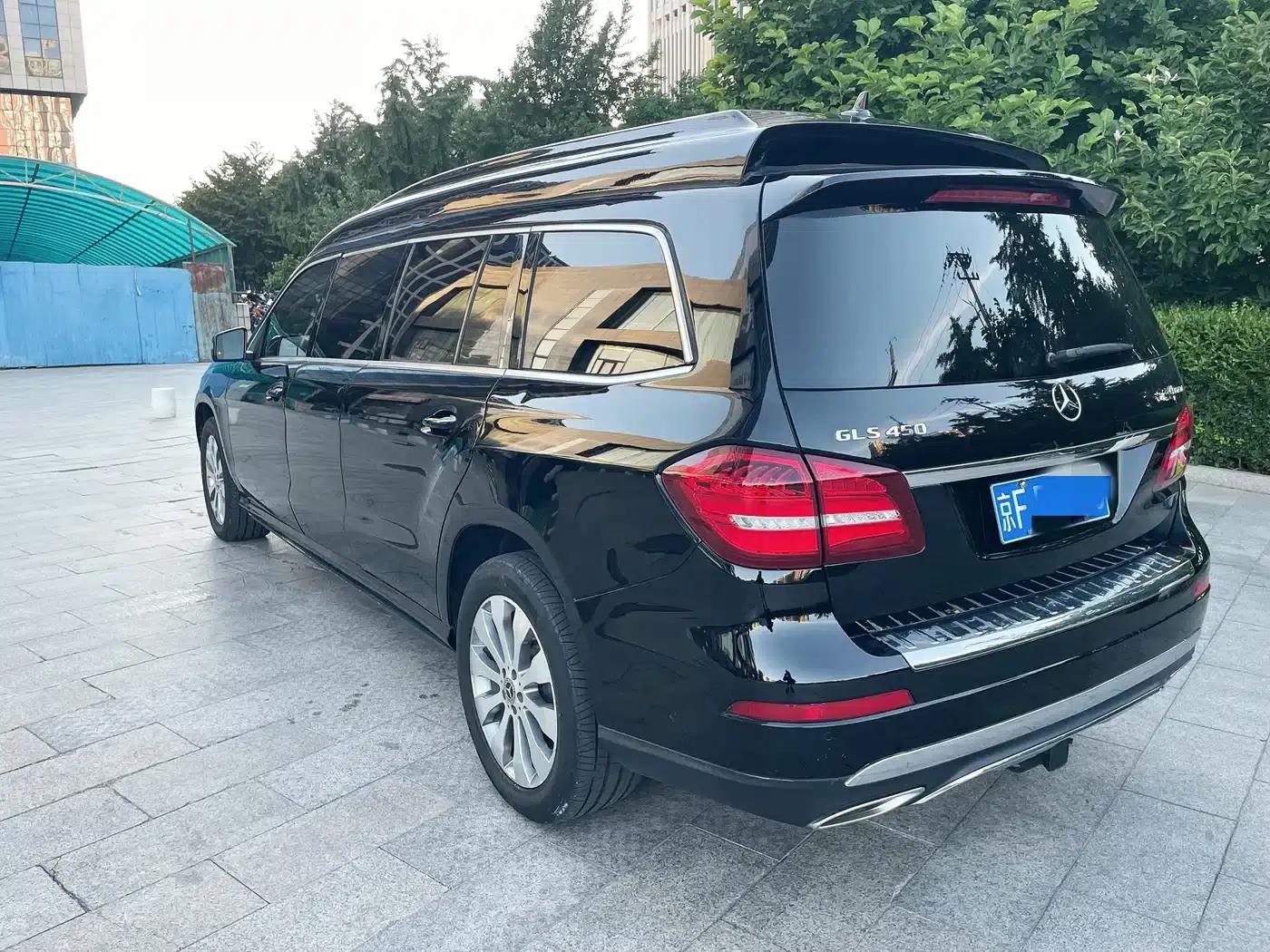 2019 Mercedes-Benz GLS 450 High Roof Executive Long Wheelbase — миниатюра 3