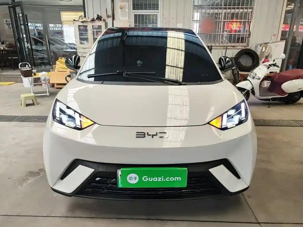 Seagull 2024 Glory Edition 305km Freedom Edition — миниатюра 3