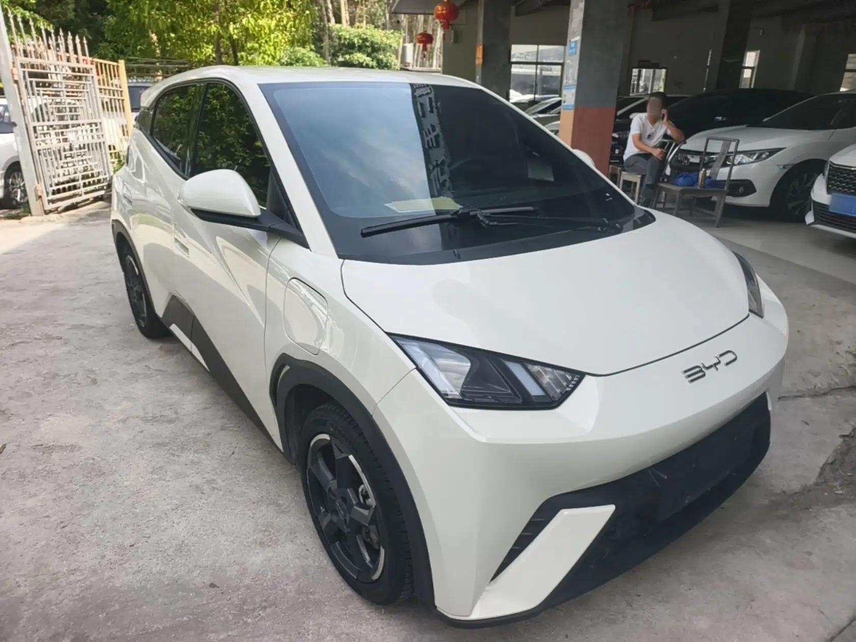 BYD Seagull 2023 Flying Edition — миниатюра 3
