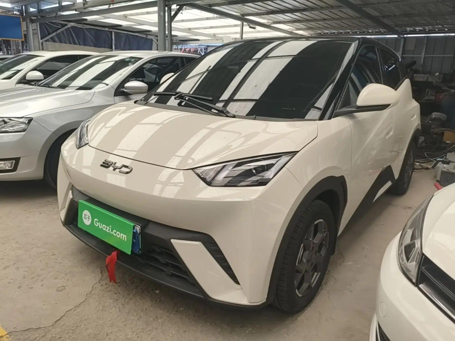 BYD Seagull 2025 305km Active Version — миниатюра 1