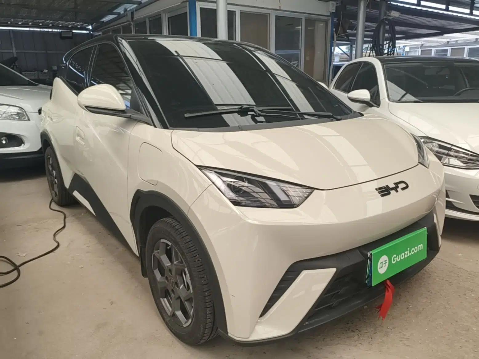 BYD Seagull 2025 305km Active Version — миниатюра 3