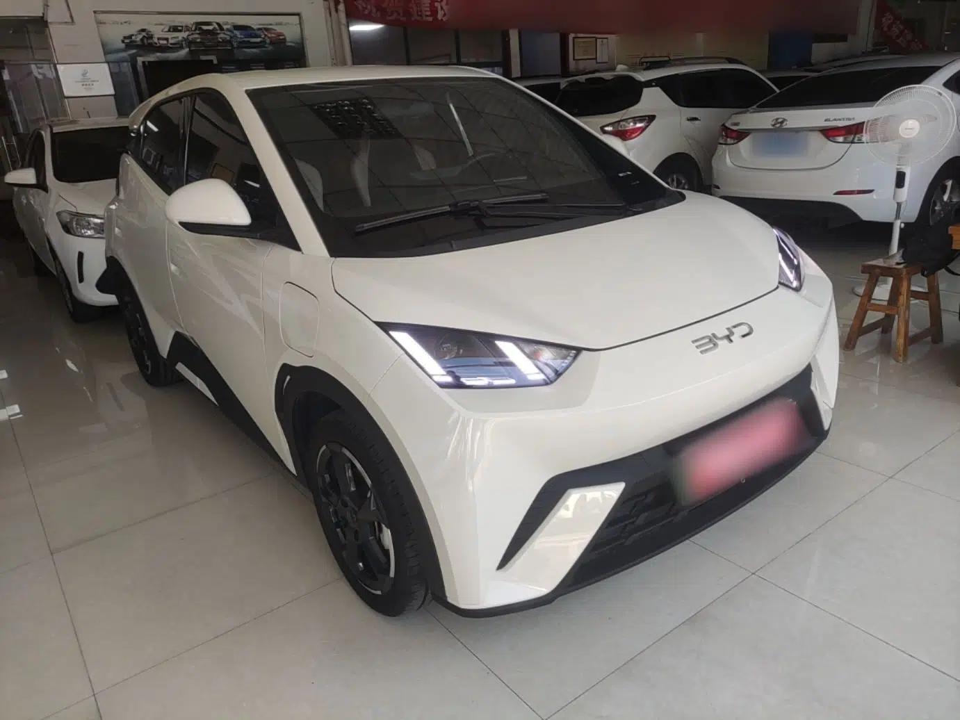 BYD Seagull 2023 Free Edition — миниатюра 3