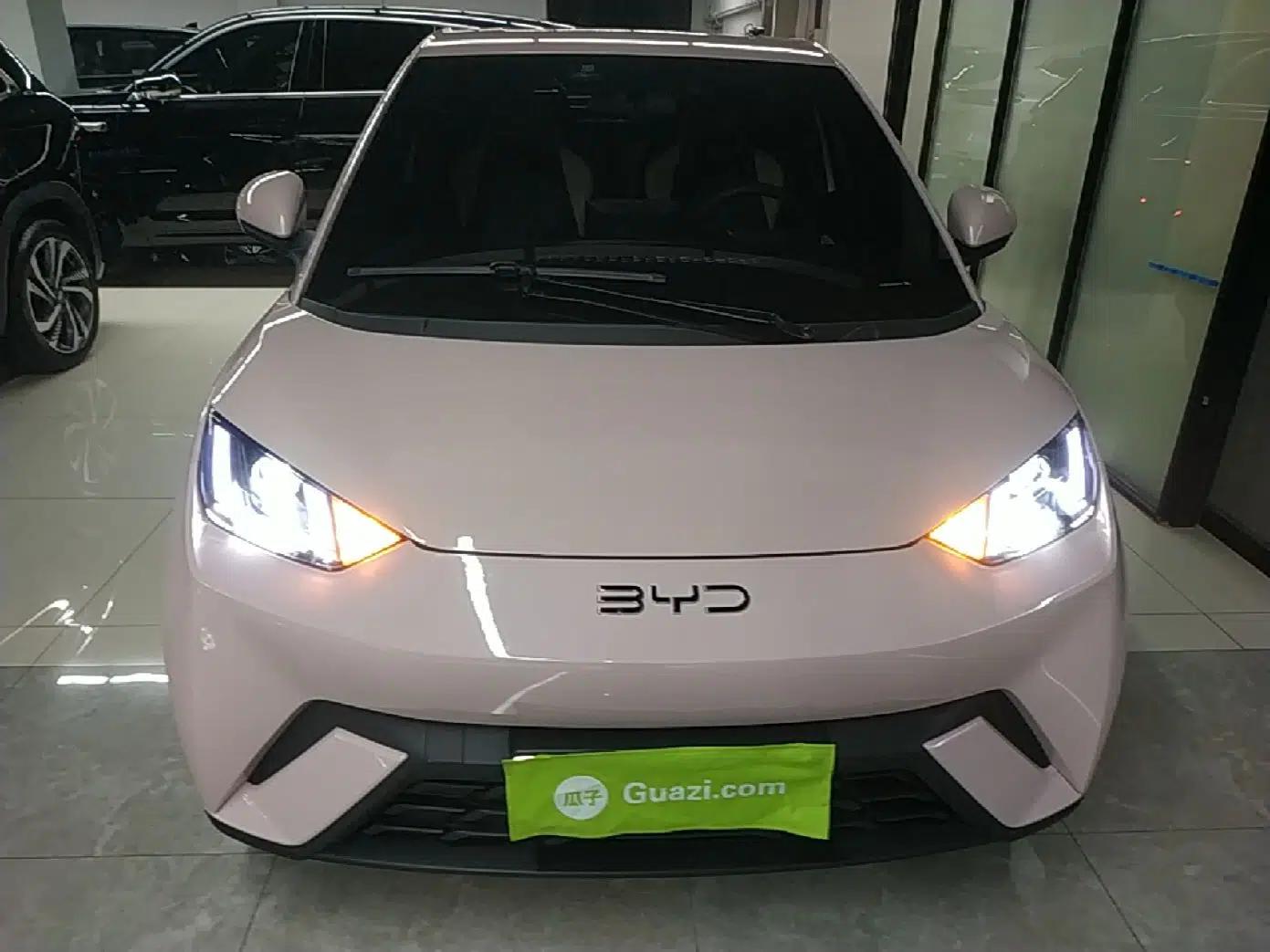 BYD Seagull 2023 Active Version — миниатюра 2