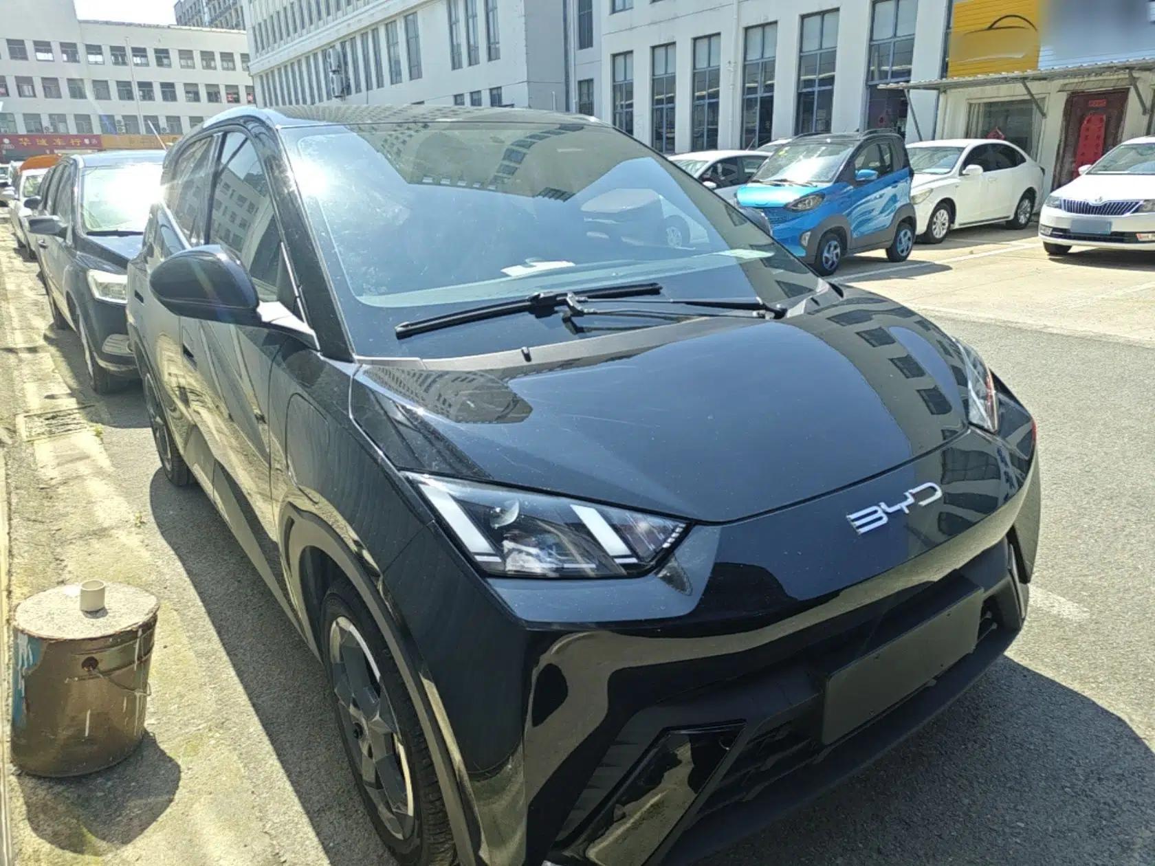 BYD Seagull 2023 Free Edition — миниатюра 3