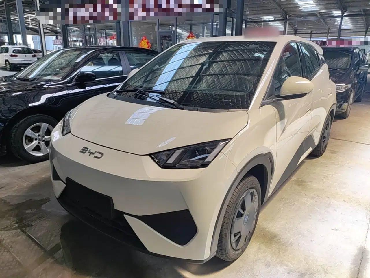 BYD Seagull 2025 Intelligent Driving Version 305 km Dynamic Edition — миниатюра 1