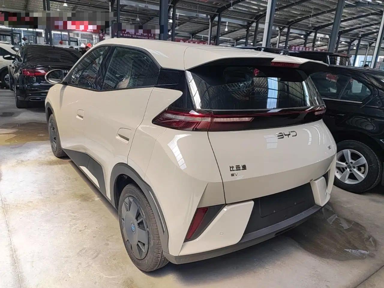 BYD Seagull 2025 Intelligent Driving Version 305 km Dynamic Edition — миниатюра 13