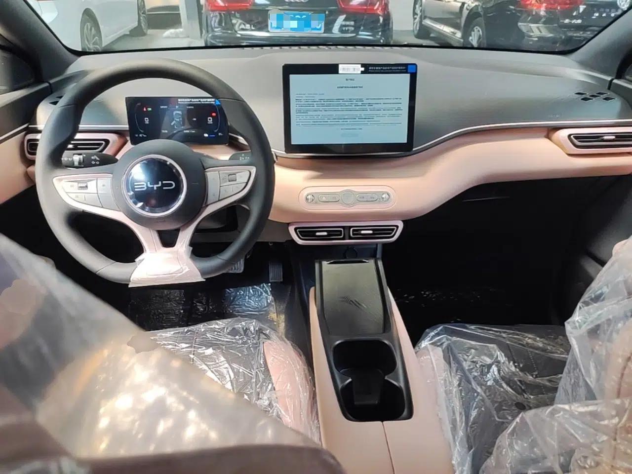 BYD Seagull 2025 Intelligent Driving Version 305 km Dynamic Edition — миниатюра 17