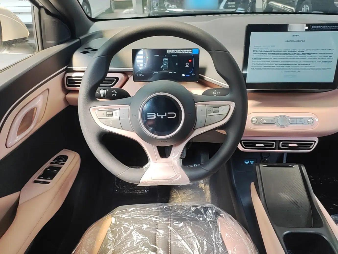 BYD Seagull 2025 Intelligent Driving Version 305 km Dynamic Edition — миниатюра 18