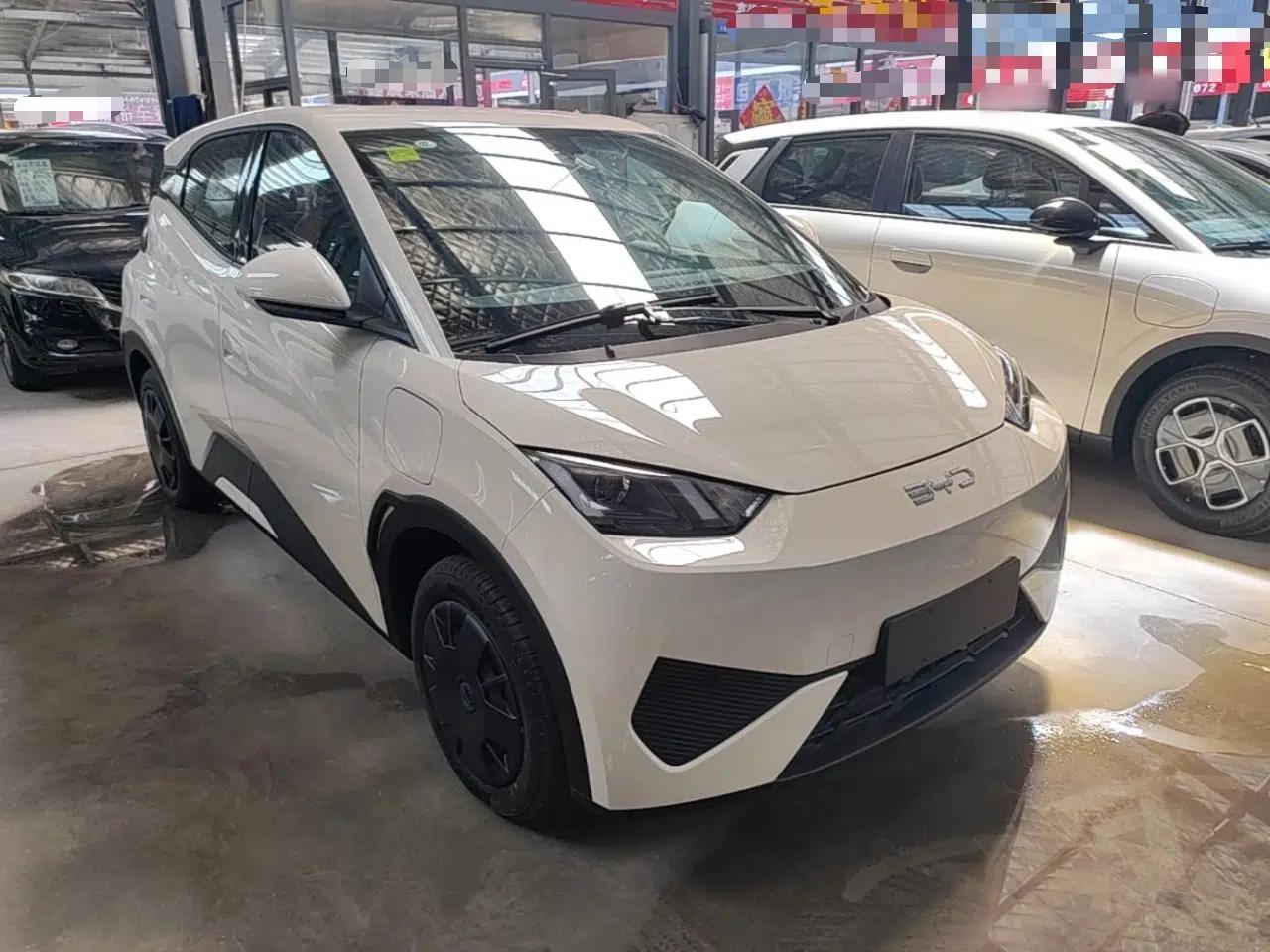 BYD Seagull 2025 Intelligent Driving Version 305 km Dynamic Edition — миниатюра 3