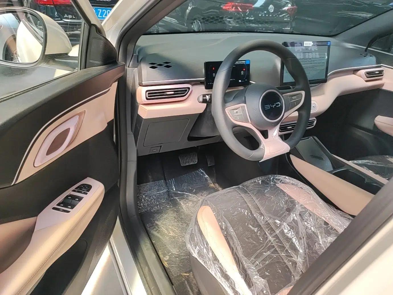 BYD Seagull 2025 Intelligent Driving Version 305 km Dynamic Edition — миниатюра 23