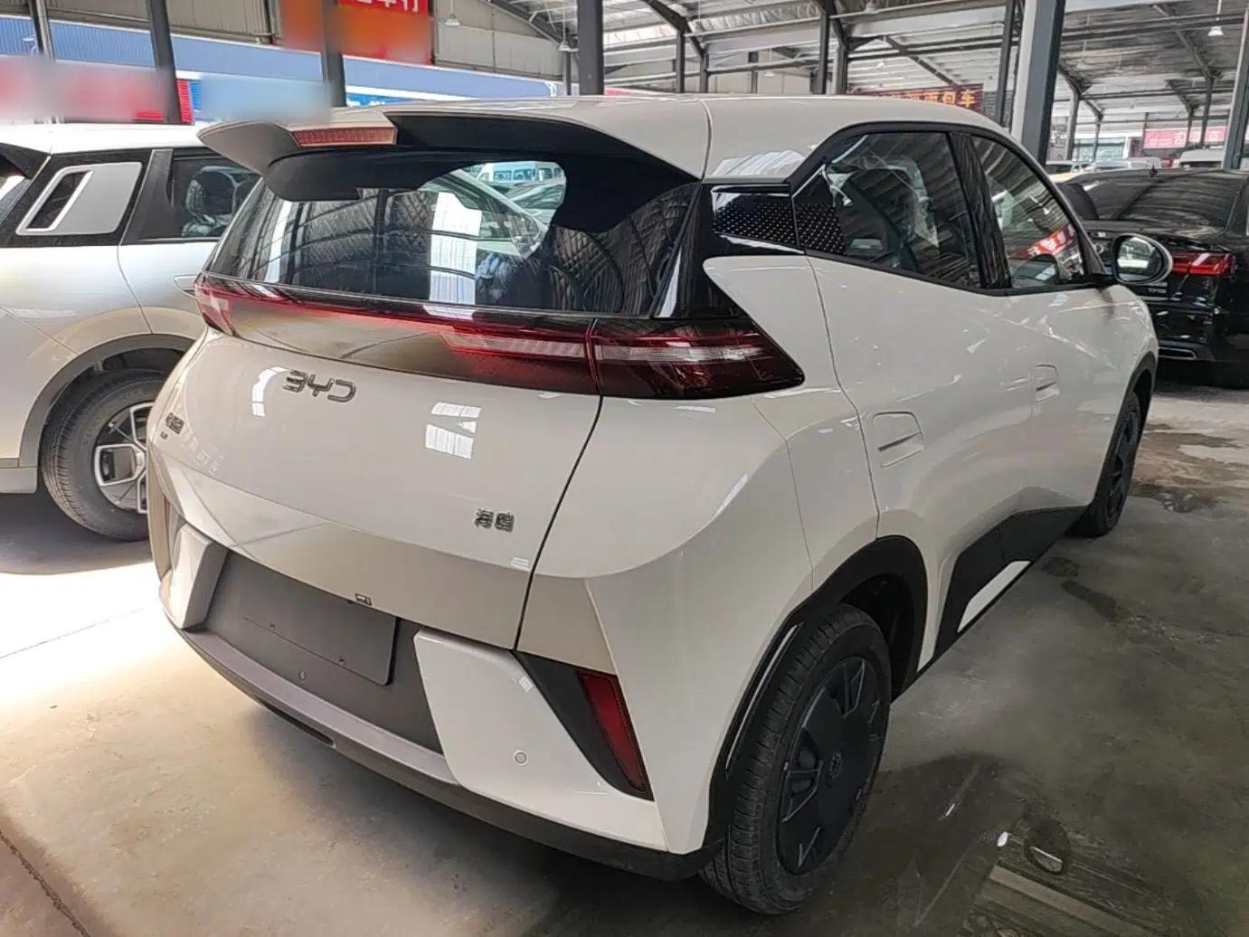 BYD Seagull 2025 Intelligent Driving Version 305 km Dynamic Edition — миниатюра 6
