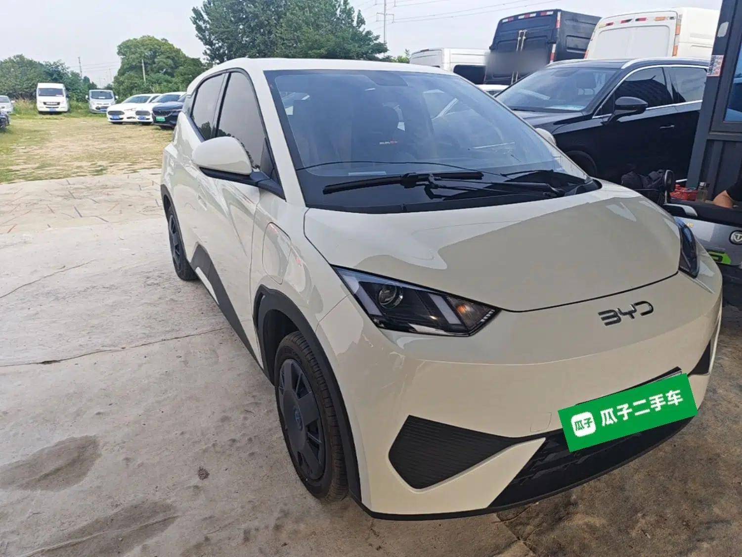 BYD Seagull 2025 Intelligent Driving Version 305 km Dynamic Edition — миниатюра 3