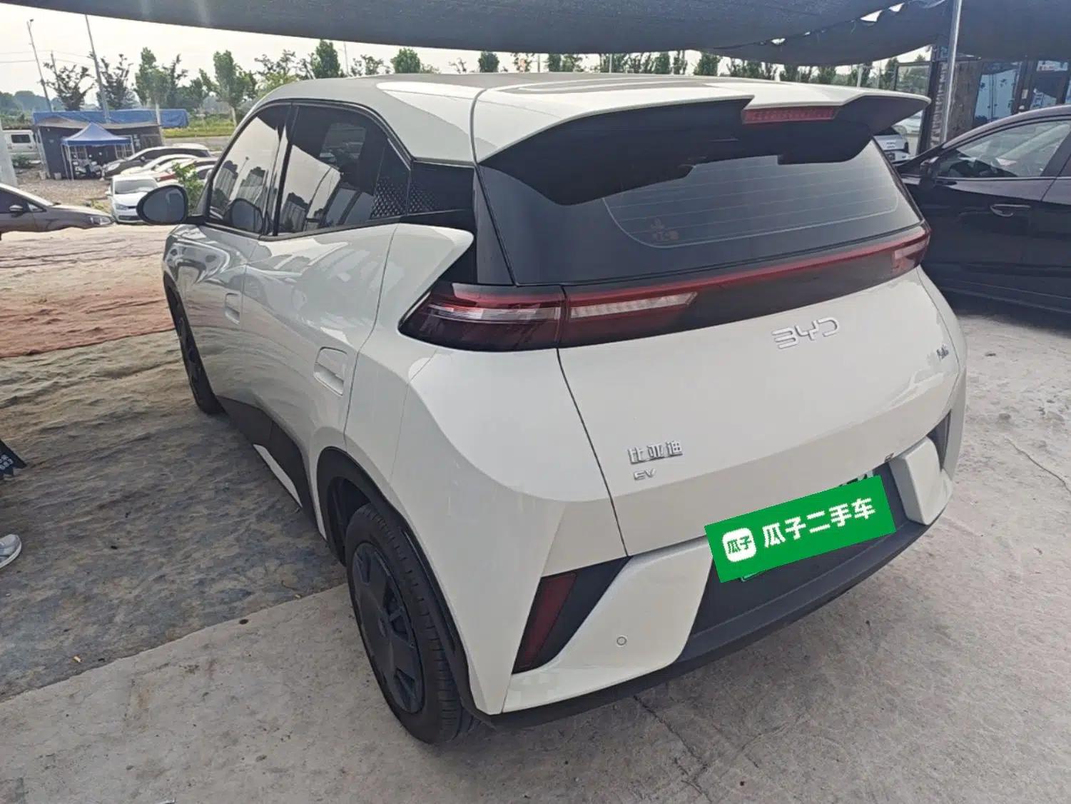 BYD Seagull 2025 Intelligent Driving Version 305 km Dynamic Edition — миниатюра 4
