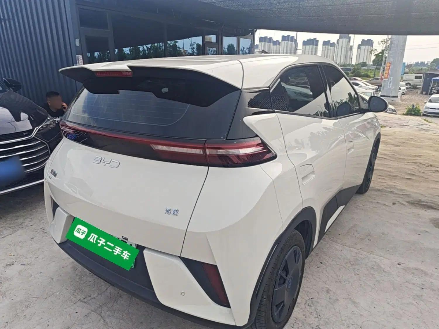 BYD Seagull 2025 Intelligent Driving Version 305 km Dynamic Edition — миниатюра 6