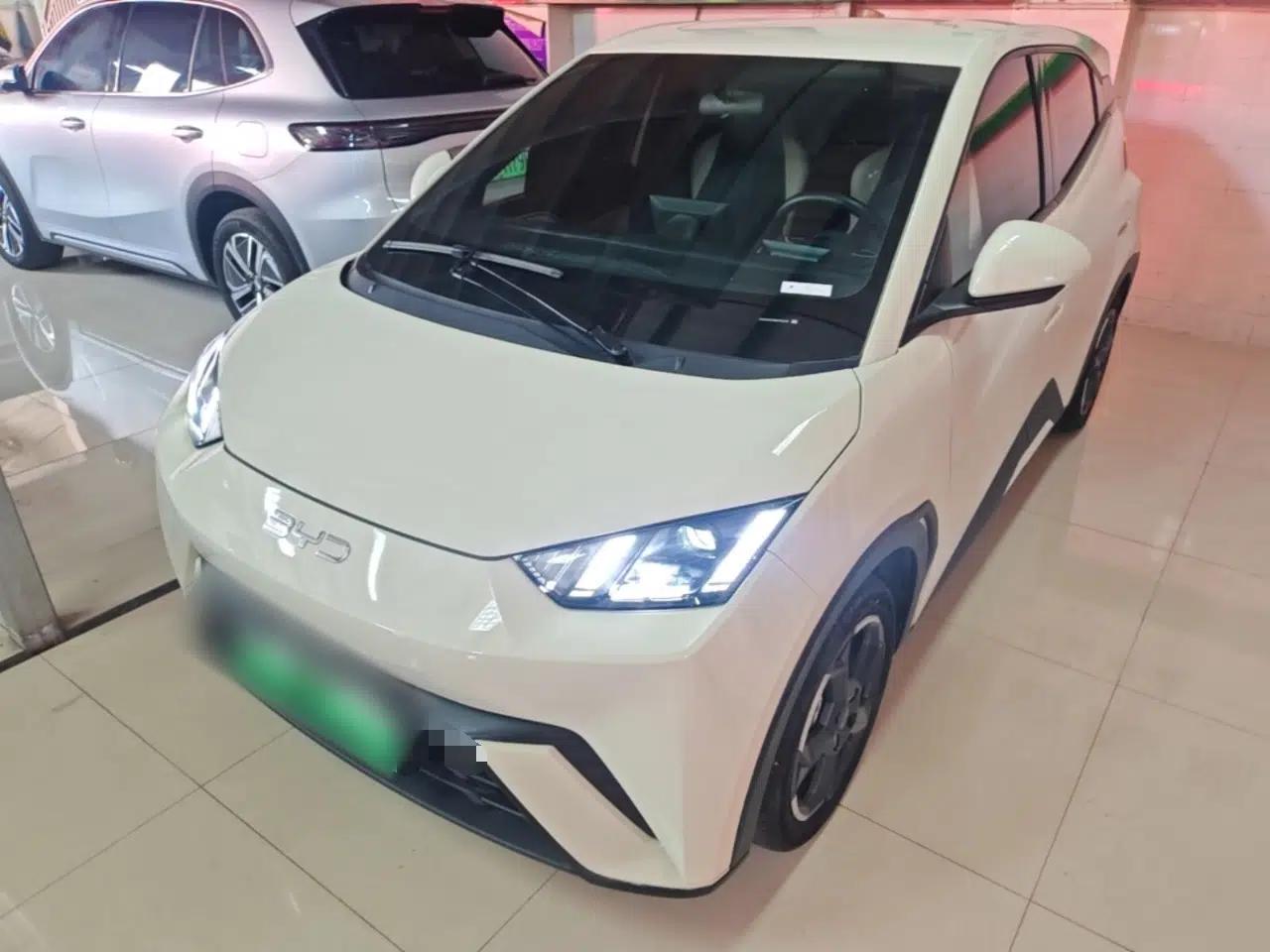 BYD Seagull 2024 Honor Edition 305km Freedom Version — миниатюра 1