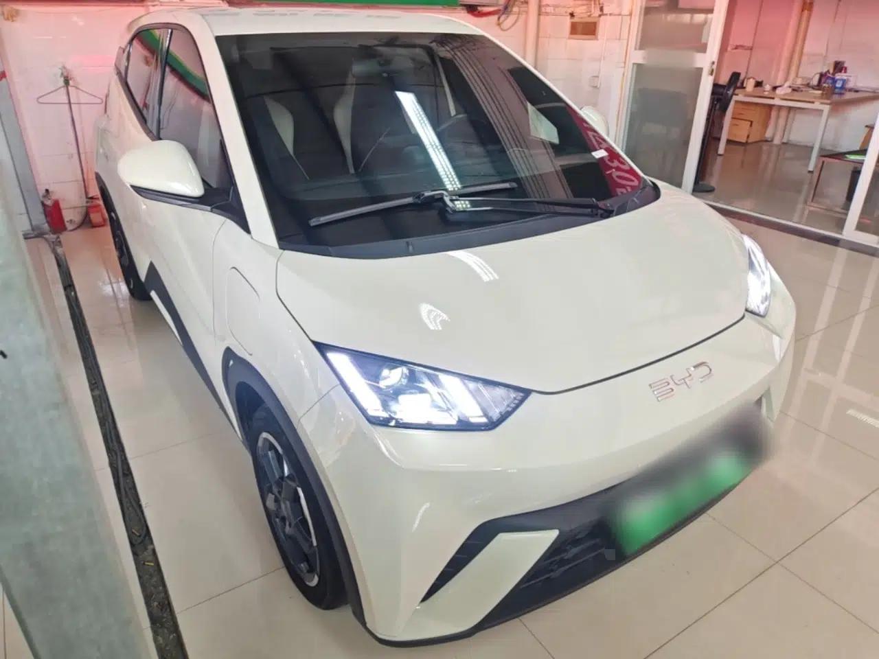 BYD Seagull 2024 Honor Edition 305km Freedom Version — миниатюра 3