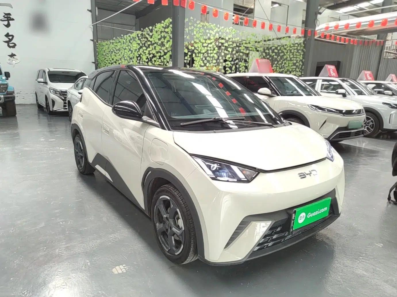 BYD Seagull 2024 Honor Edition 405km Flying Version — миниатюра 3