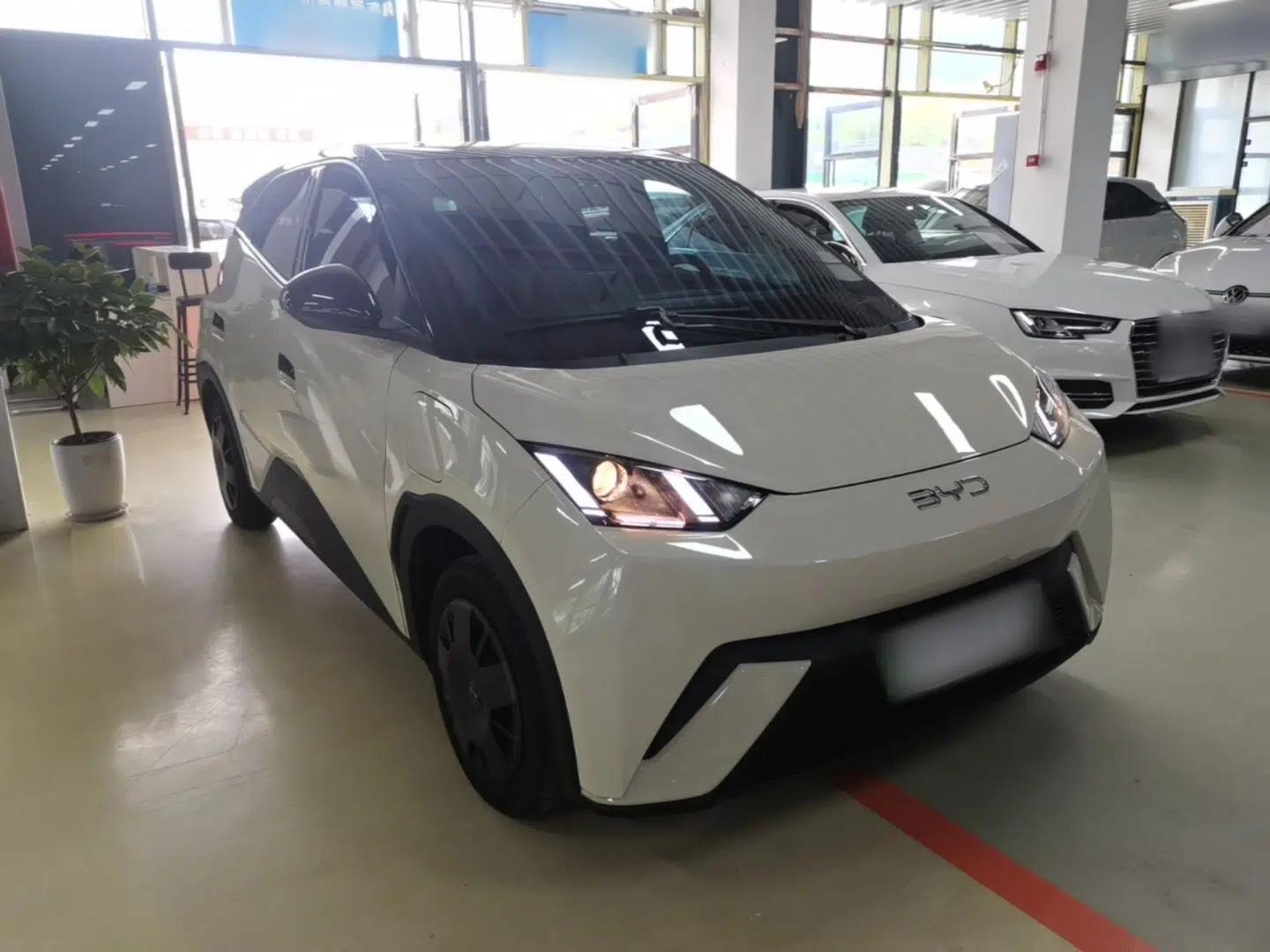 BYD Seagull 2025 305km Active Version — миниатюра 3