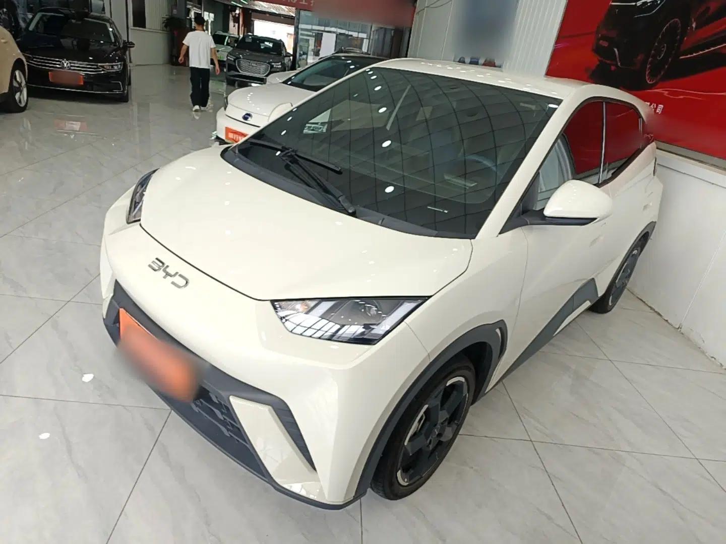 BYD Seagull 2024 Honor Edition 405km Flying Version — миниатюра 1