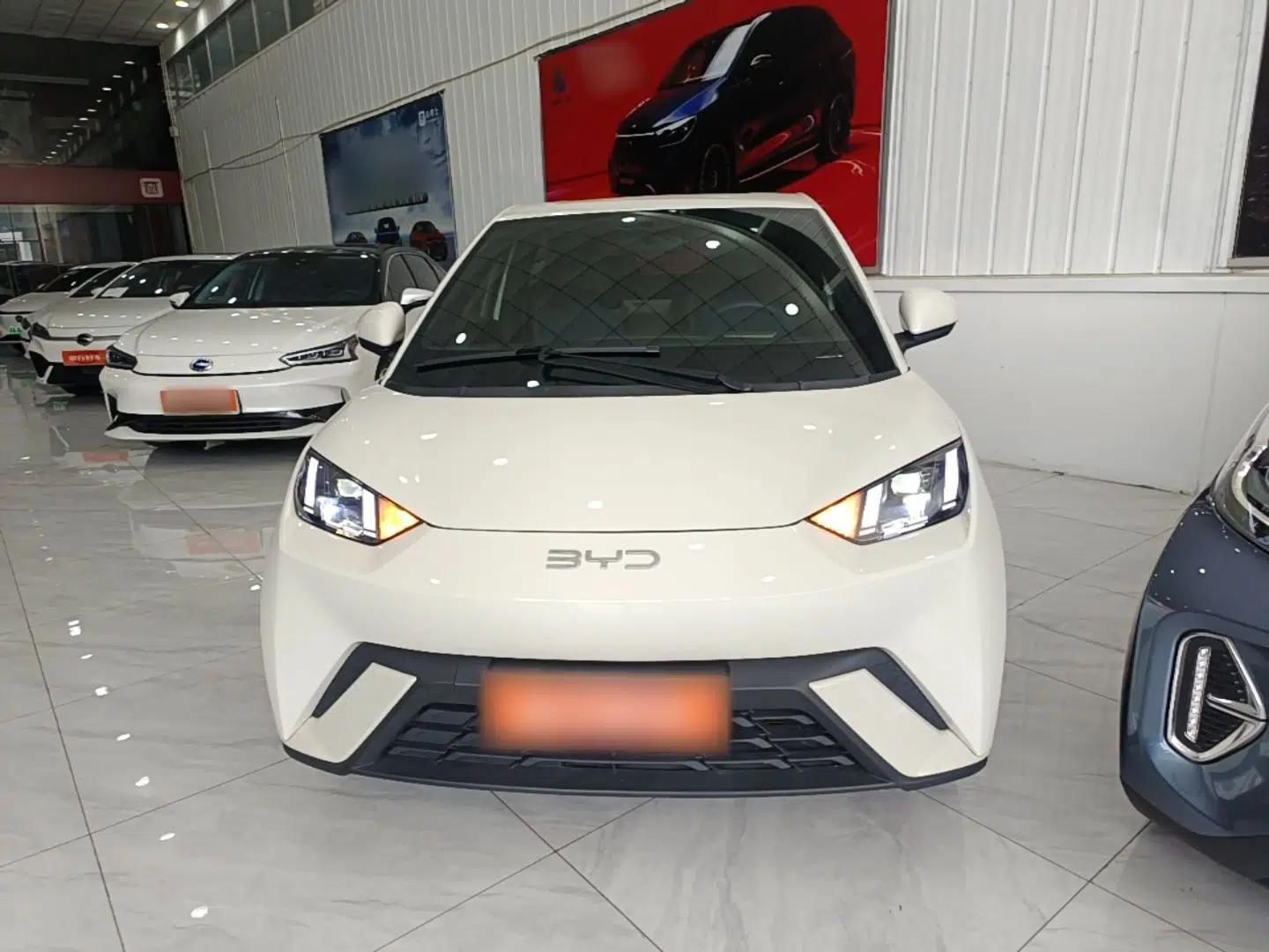 BYD Seagull 2024 Honor Edition 405km Flying Version — миниатюра 2
